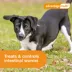Advantage Multi Dog 6-in-1 Heartworm Prevention | Kills Fleas | Dogs 20.1-55 lbs. | 6-Month Supply image thumbnail 10