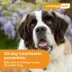 Advantage Multi Dog 6-in-1 Heartworm Prevention - Kills Fleas - Dogs 88.1-110 lbs. - 6-Month Supply image thumbnail 5