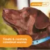 Advantage Multi Dog 6-in-1 Heartworm Prevention - Kills Fleas - Dogs 88.1-110 lbs. - 6-Month Supply image thumbnail 10
