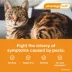 Advantage Multi Cat 5-in-1 Heartworm Prevention | Kills Fleas | Cats 2-5 lbs. | 3-Month Supply image thumbnail 5