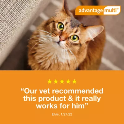 Advantage Multi Cat 5-in-1 Heartworm Prevention | Kills Fleas | Cats 2-5 lbs. | 3-Month Supply - Image 8