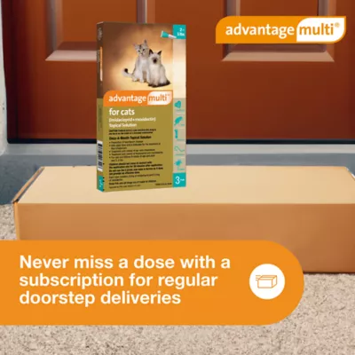 Advantage Multi Cat 5-in-1 Heartworm Prevention | Kills Fleas | Cats 2-5 lbs. | 3-Month Supply - Image 9