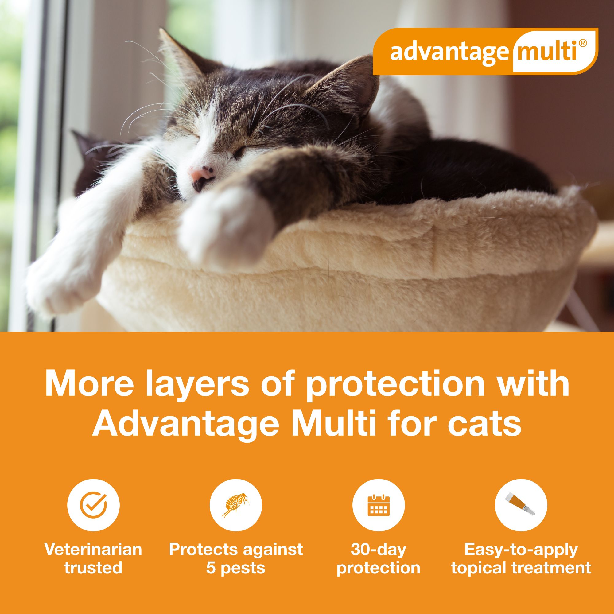 Advantage Multi Topical Solution for Cats, 5.1-9 lbs (Orange), 1 or 6 Month Supply - thumbnail 3