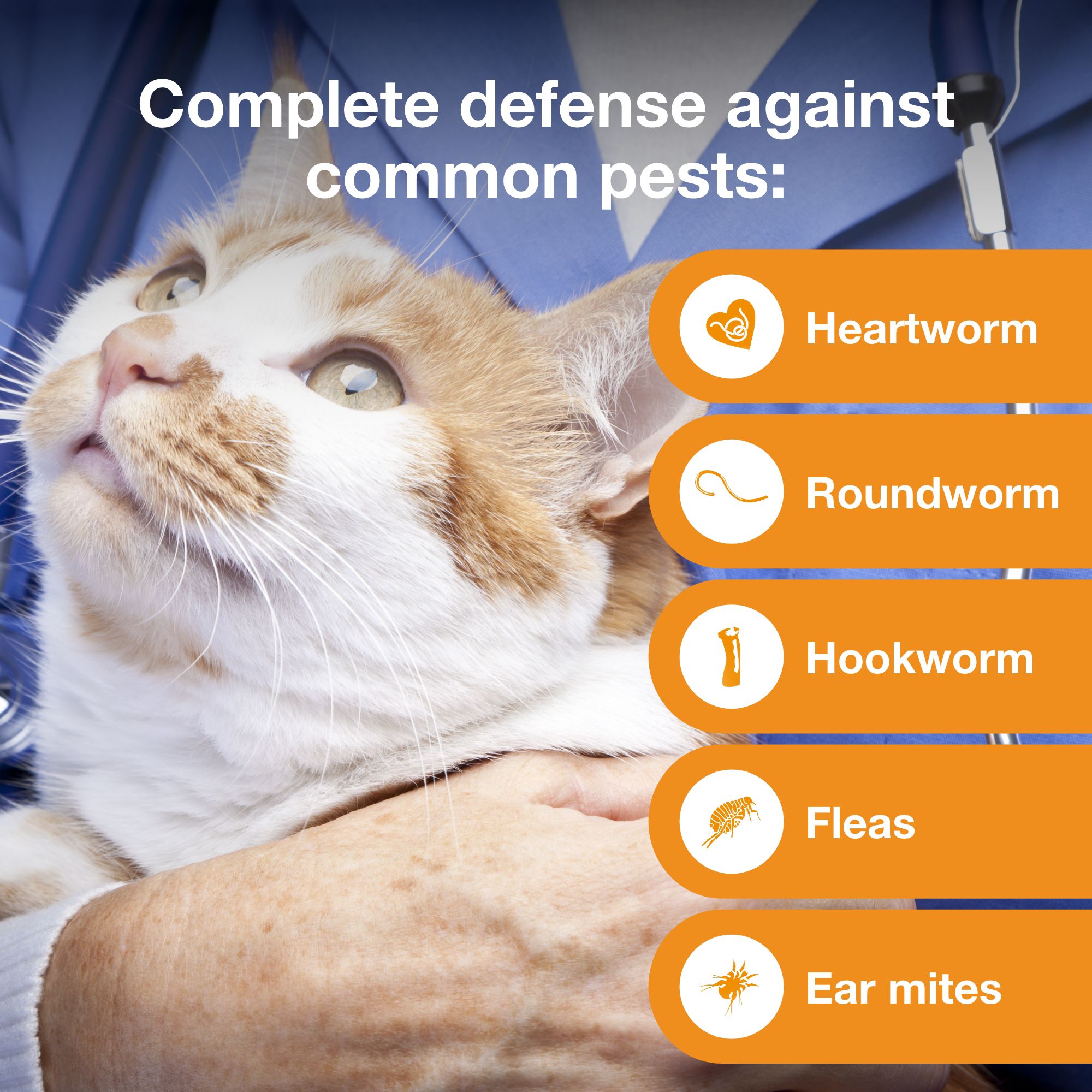 Advantage Multi Topical Solution for Cats, 5.1-9 lbs (Orange), 1 or 6 Month Supply - thumbnail 4
