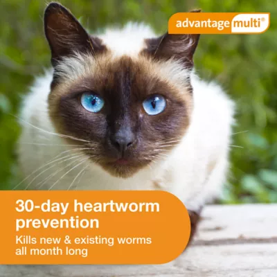 Advantage Multi Cat 5-in-1 Heartworm Prevention - Kills Fleas - Cats 5.1-9 lbs. - 6-Month Supply - Image 6
