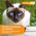 Advantage Multi Cat 5-in-1 Heartworm Prevention - Kills Fleas - Cats 5.1-9 lbs. - 6-Month Supply image thumbnail 6