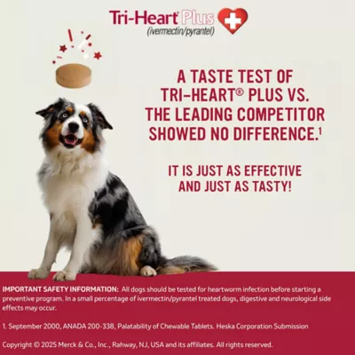 Tri-Heart Plus Chewable Tablets for Dogs 26-50 lbs Green, 6 Chewable Tablets (6 month supply) - Image 5