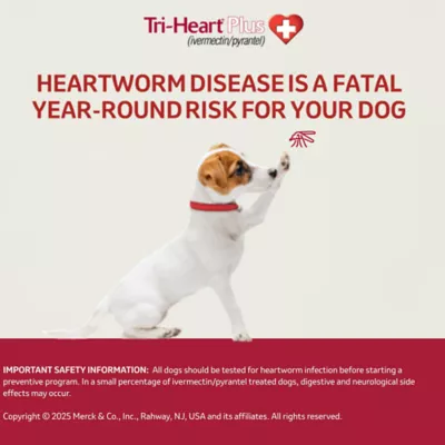 Tri-Heart Plus Chewable Tablets for Dogs 26-50 lbs Green, 6 Chewable Tablets (6 month supply) - Image 6