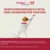 Tri-Heart Plus Chewable Tablets for Dogs 26-50 lbs Green, 6 Chewable Tablets (6 month supply) image thumbnail 6