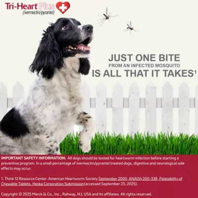 Tri-Heart Plus Chewable Tablets for Dogs 26-50 lbs Green, 6 Chewable Tablets (6 month supply) - Image 8