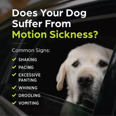 Cerenia Tablets for Dogs, 16 mg, 24 mg, 60 mg, 160 mg - 4 Tablets - Image 8