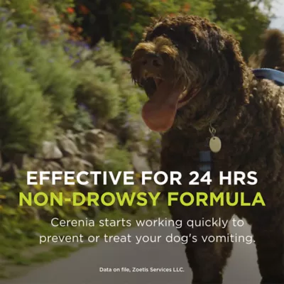 Cerenia Tablets for Dogs, 16 mg, 24 mg, 60 mg, 160 mg - 4 Tablets - Image 6