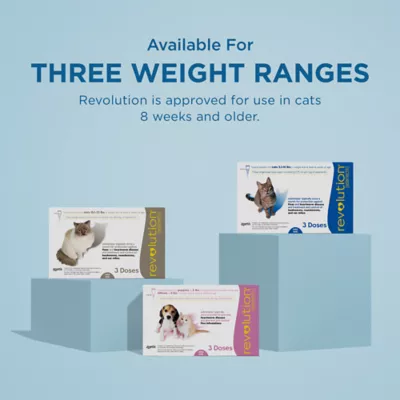 Revolution (selamectin) Topical for Cats - 15.1-22 lbs (Taupe) - 3, 6, or 12 Month Supply - Image 7