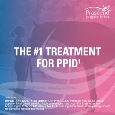Prascend Tablets for Horses 1 mg - 60 or 160 Count - Image 3