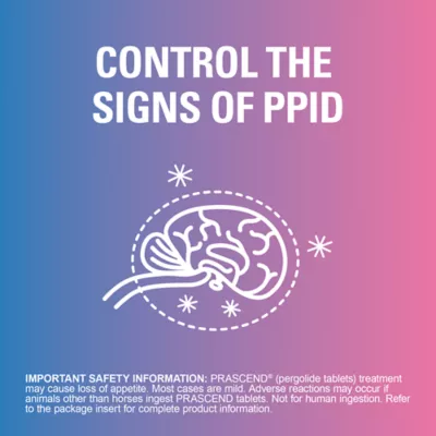 Prascend Tablets for Horses 1 mg - 60 or 160 Count - Image 4