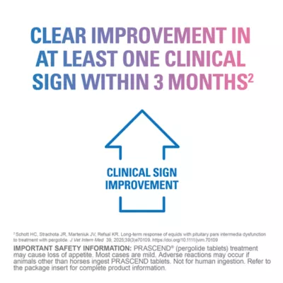 Prascend Tablets for Horses 1 mg - 60 or 160 Count - Image 6