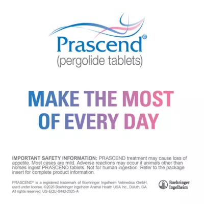 Prascend Tablets for Horses 1 mg - 60 or 160 Count - Image 7