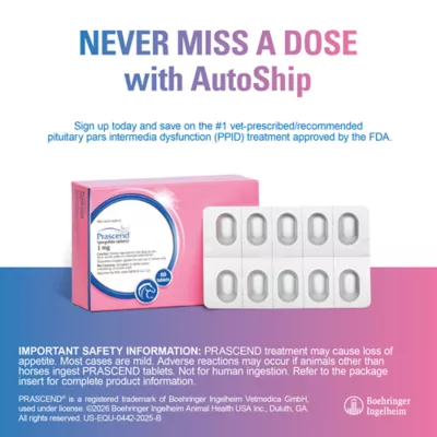 Prascend Tablets for Horses 1 mg - 60 or 160 Count - Image 9