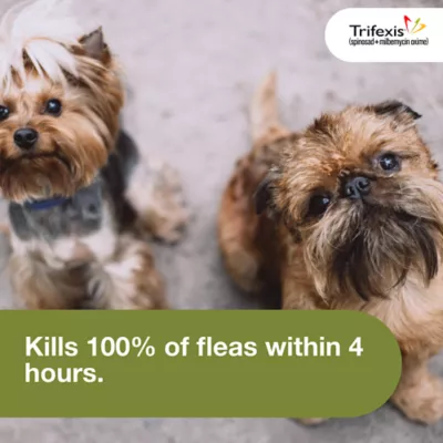 Trifexis Chewable Tablets for Dogs 5-10 lbs Pink - Image 6