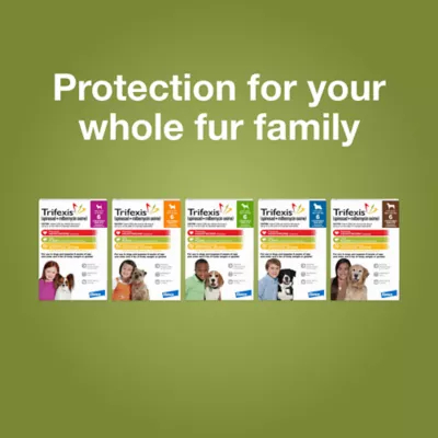 Trifexis Heartworm Prevention, Treats & Controls Flea Infestations + 4 Other Worms, Dogs 20.1-40 lbs - Image 9