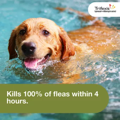 Trifexis Heartworm Prevention, Treats & Controls Flea Infestations + 4 Other Worms, Dogs 40.1-60 lbs - Image 6