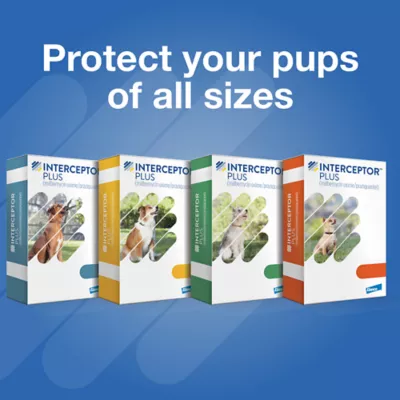 Product Interceptor Plus Chewable Tablets for Dogs - 50.1 - 100 lbs, Blue Box