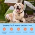 Interceptor Plus Chewable Tablets for Dogs - 50.1 - 100 lbs, Blue Box image thumbnail 4