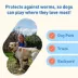 Interceptor Plus Chewable Tablets for Dogs - 50.1 - 100 lbs, Blue Box image thumbnail 6