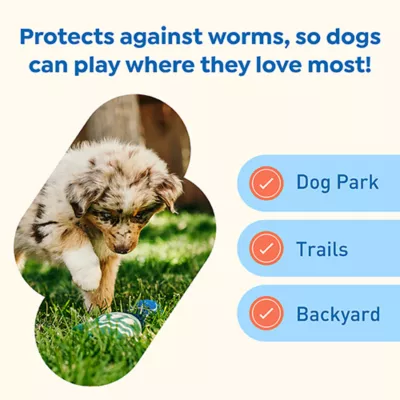 Interceptor Plus Chewable Tablets for Dogs - 2-8 lbs, Orange Box - Image 6