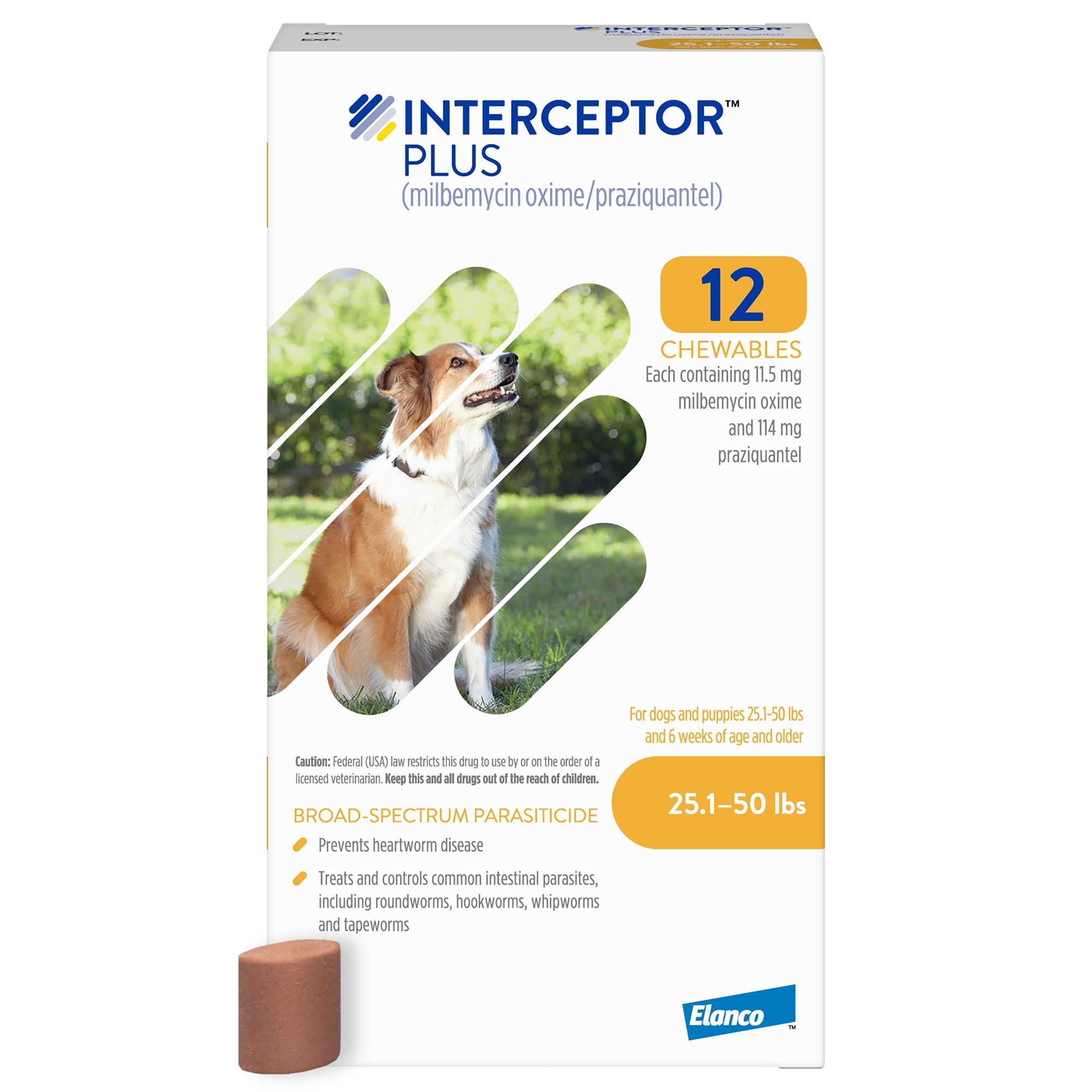 Interceptor for dogs flea and sale tick