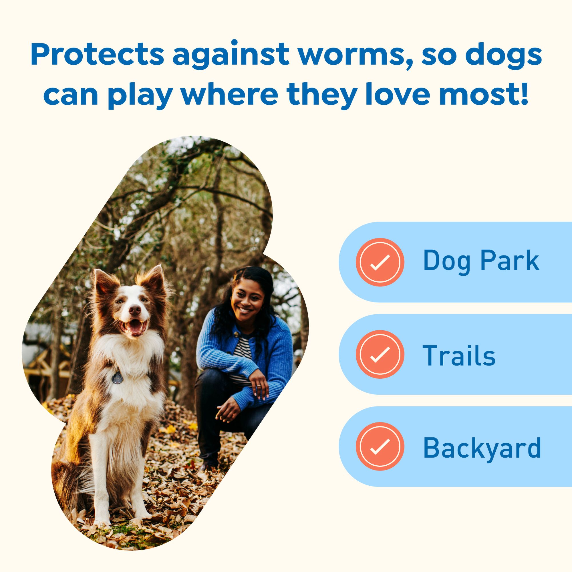 Do All Loves Have Dog Parks? Discover the Surprising Truth!
