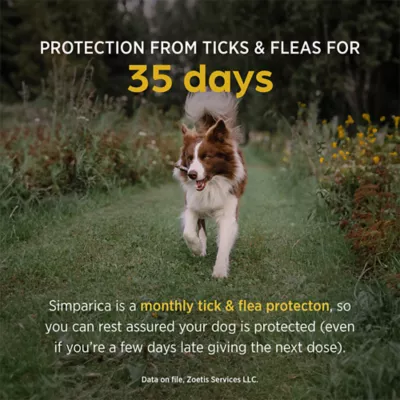 Simparica (sarolaner) Chewables for Dogs, 88.1-132 lbs (Brown), 3 or 6 Month Supply - Image 3