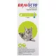 Product Bravecto Topical Solution for Cats, 2.6 - 6.2 lbs 112.5 mg Green