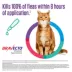 Bravecto Topical Solution for Cats, 2.6 - 6.2 lbs 112.5 mg Green image thumbnail 2