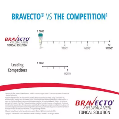 Product Bravecto Topical Solution for Cats, 2.6 - 6.2 lbs 112.5 mg Green