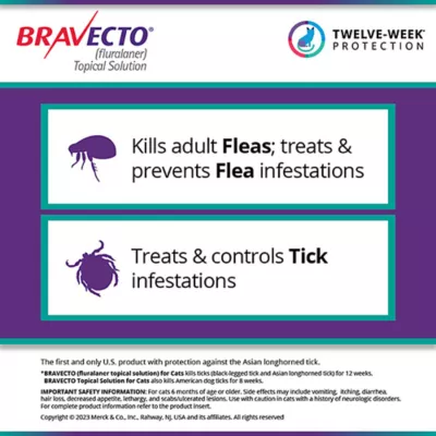 Product Bravecto Topical Solution for Cats, 2.6 - 6.2 lbs 112.5 mg Green