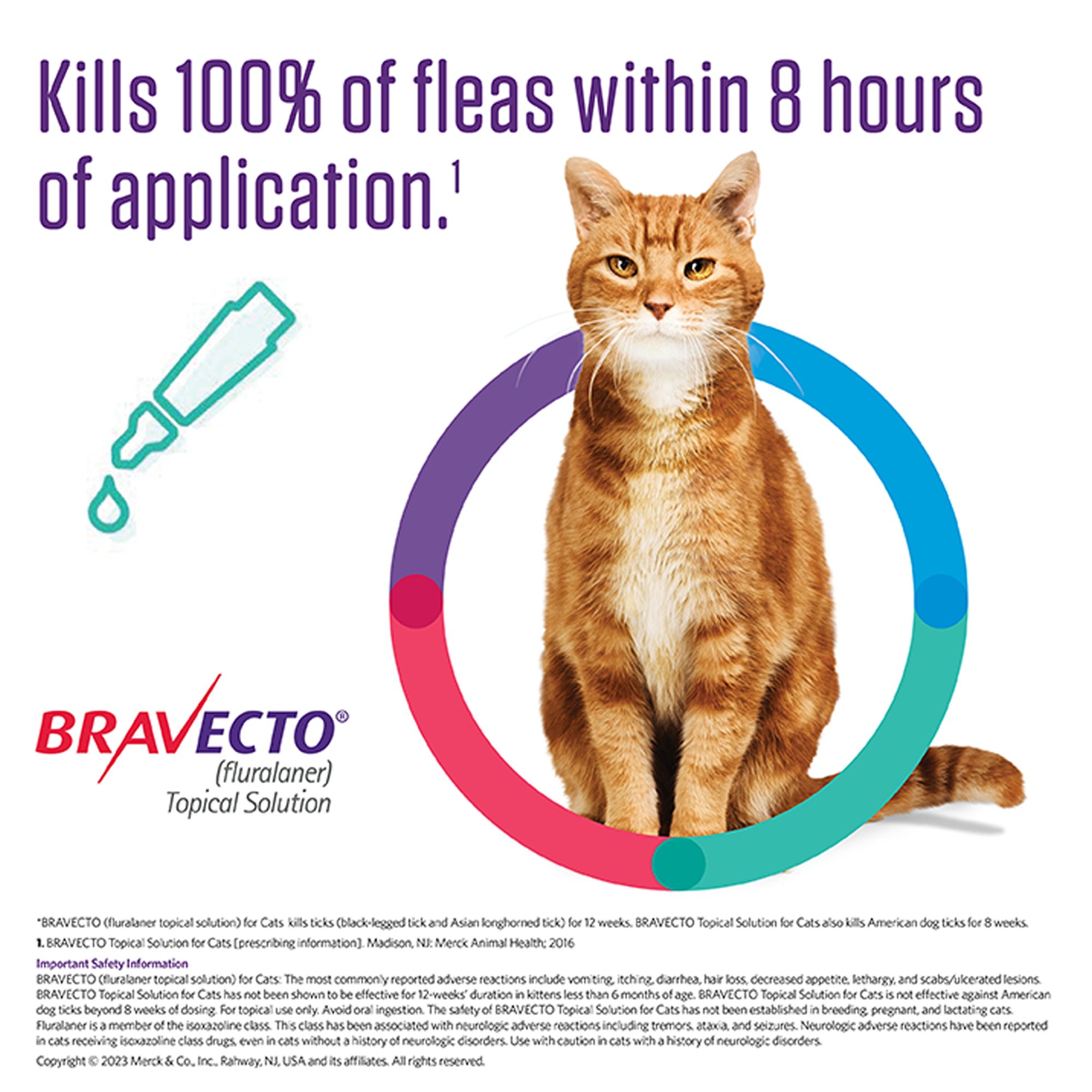 Bravecto Topical Solution for Cats, 6.2 - 13.8 lbs (Blue), 1 Dose, 12 Week Supply - thumbnail 2