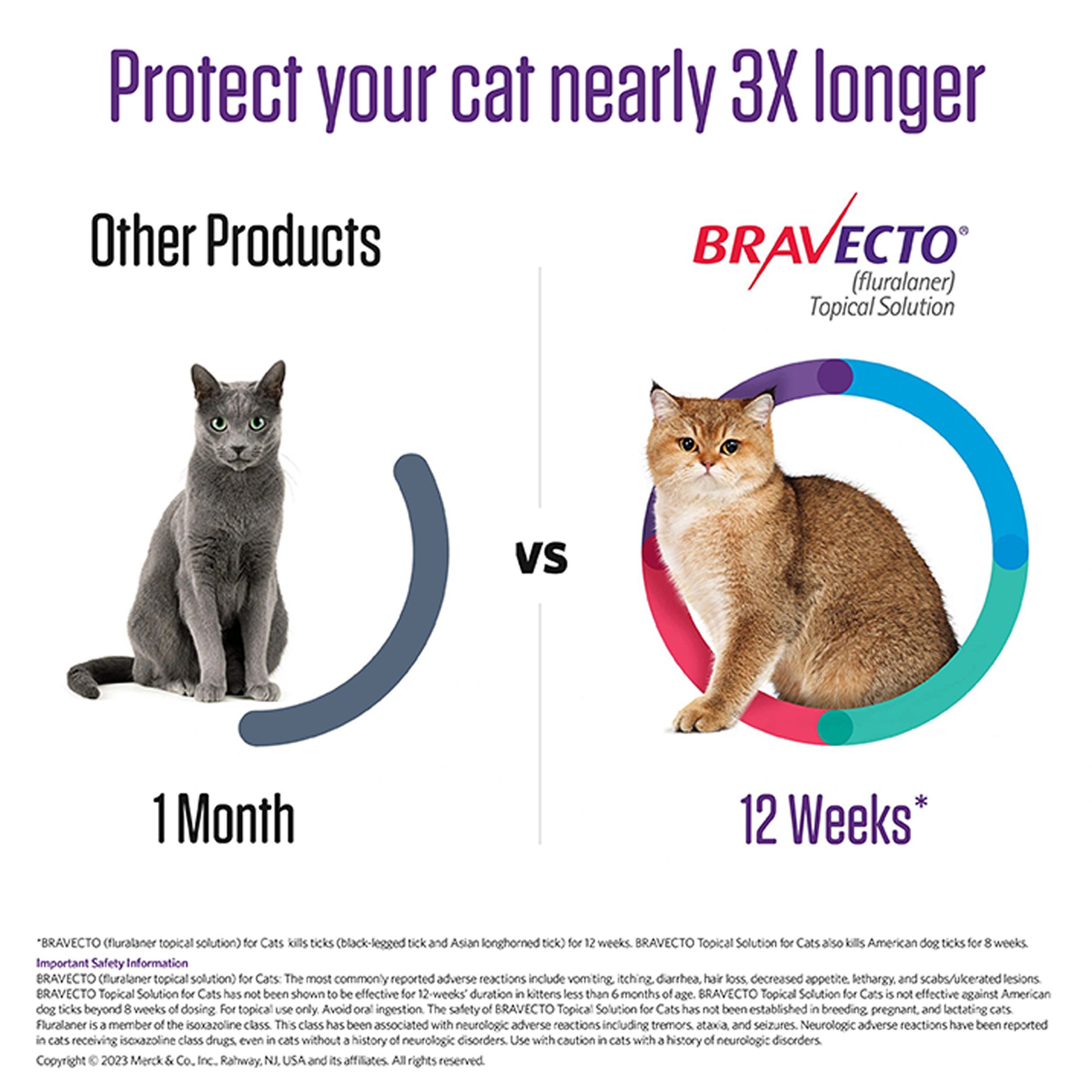 Bravecto Topical Solution for Cats, 6.2 - 13.8 lbs (Blue), 1 Dose, 12 Week Supply - thumbnail 3