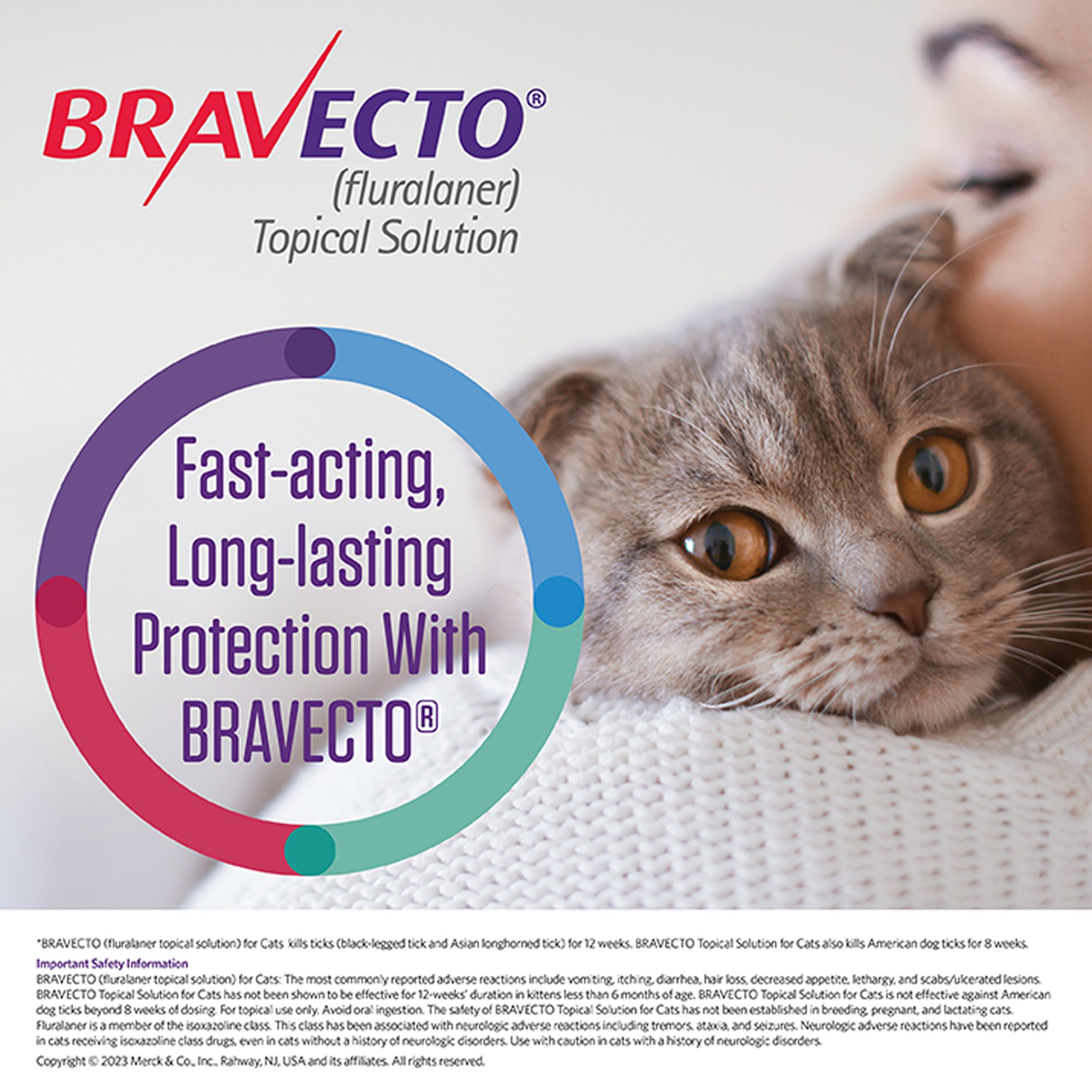 Bravecto Topical Solution for Cats, 6.2 - 13.8 lbs (Blue), 1 Dose, 12 Week Supply - thumbnail 6