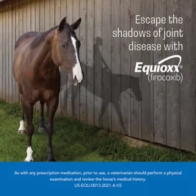 Equioxx, 57 mg Chewable Tablets - 60 or 180 Ct - Image 2
