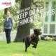 Product Galliprant Tablets for Dogs - 20mg
