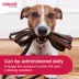 Galliprant Tablets for Dogs - 20mg image thumbnail 4