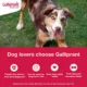Product Galliprant Tablets for Dogs - 60mg
