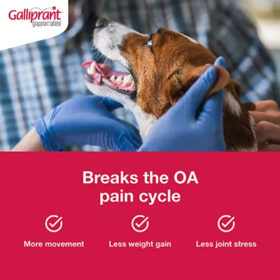 Product Galliprant Tablets for Dogs - 60mg
