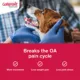 Product Galliprant Tablets for Dogs - 60mg