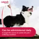 Product Galliprant Tablets for Dogs - 60mg