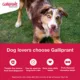 Product Galliprant Tablets for Dogs - 100mg
