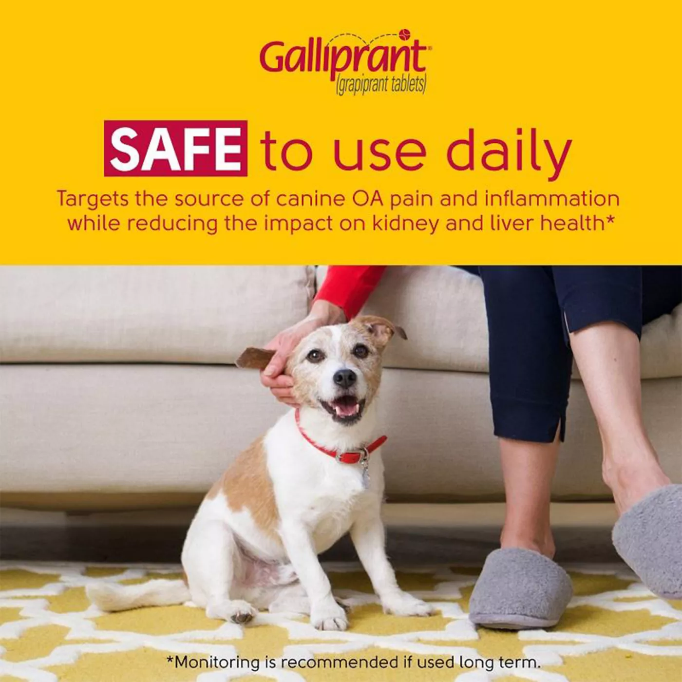 Galliprant shops for dogs side effects