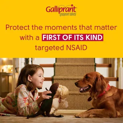 Product Galliprant Tablets for Dogs - 20mg