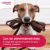 Galliprant (grapiprant) Tablets for Dogs - 20mg - 1, 30, or 90 Tablets image thumbnail 4